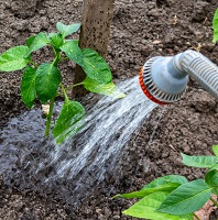 Sanyuga Agro Producer Company Limited